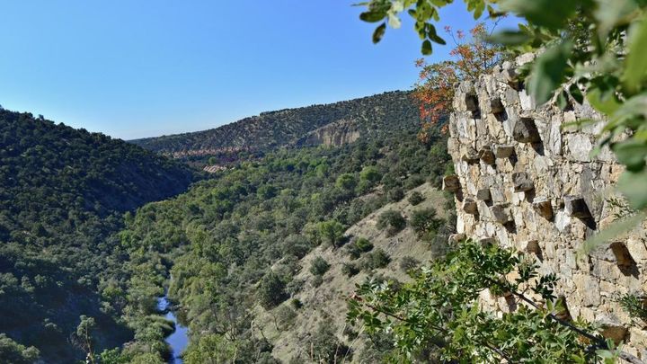 Parque Regional del Curso del río Guadarrama / COMUNIDAD DE MADRID