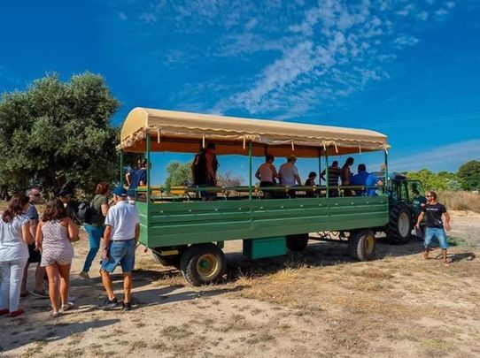 Visita a los campos de la Vinícola de Arganda a bordo de su carriola / VINOACEITEARGANDA
