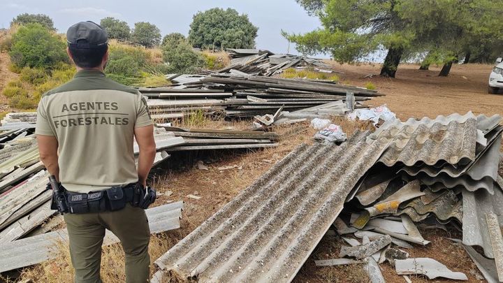 Agente forestal en un vertido de amianto en Campo Real / COMUNIDAD DE MADRID