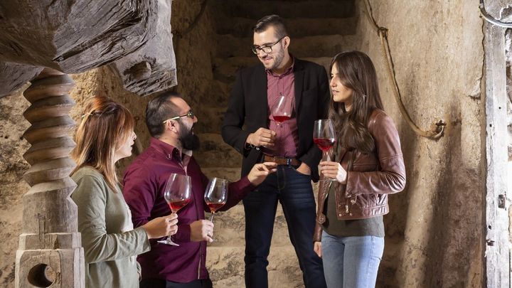 Tren del Vino / Diputación de Valladolid