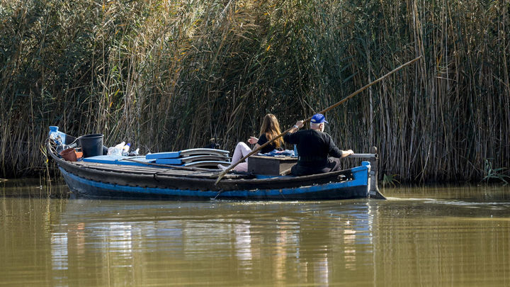Búsqueda de víctimas mortales en  l'Albufera de Valencia / EFE