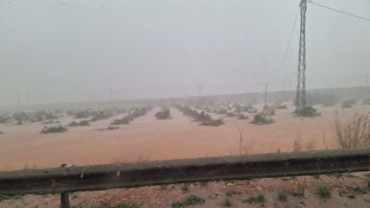 Imagen de campos dañados en Chiva / EUROPA PRESS