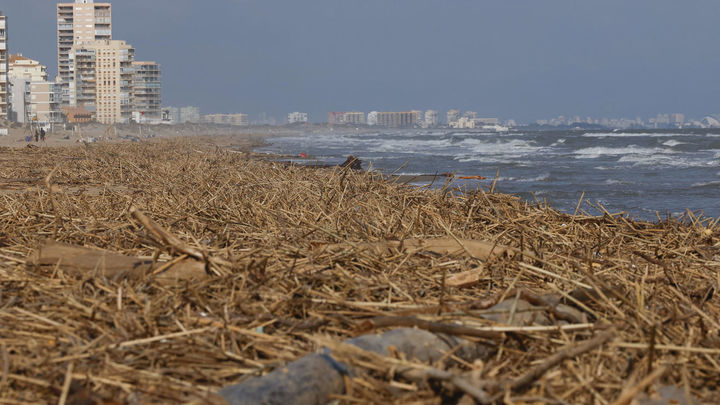 Toneladas de cañas arrastradas hasta la playa de Marianet, en Valencia, donde este jueves continúa la búsqueda de cadáveres arrastrados por la dana / EFE