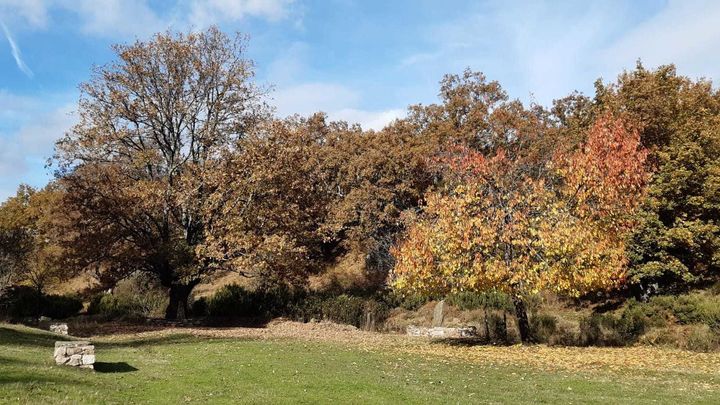 Área recreativa de La Tejera-Parque Avellanos, en Puebla de la Sierra / P.O.