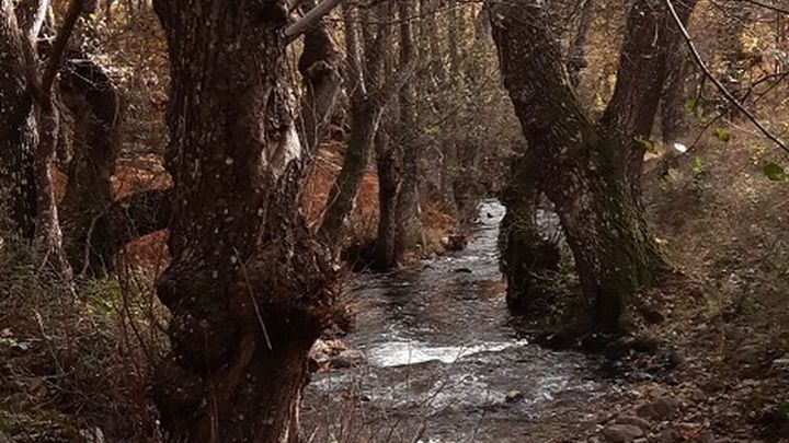 Río de La Puebla / P.O.