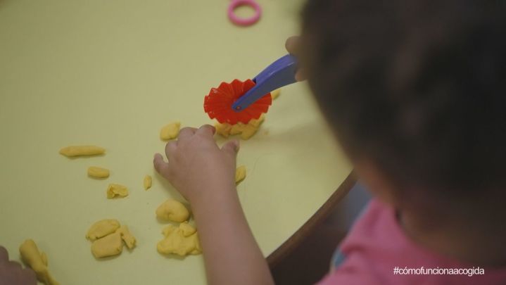 Nidos, familia de acogida / Redacción