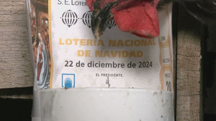 Pedrocha / Redacción