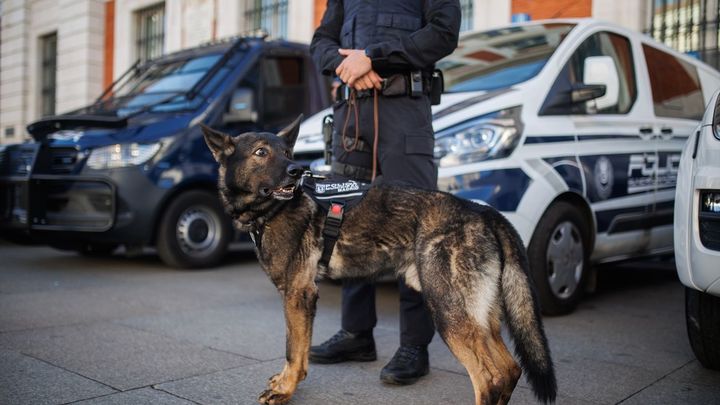 En el dispositivo especial habrá 250 policías municipales / EUROPA PRESS