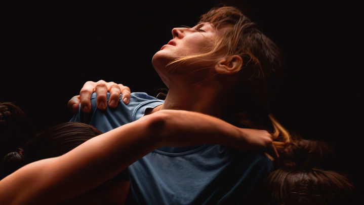 Desmontando un elefante / ARCHIVO