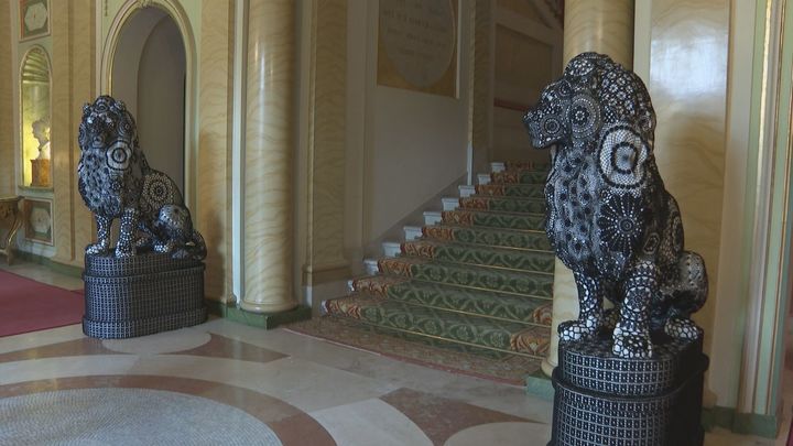 Leones de Vasconcelos / Telemadrid