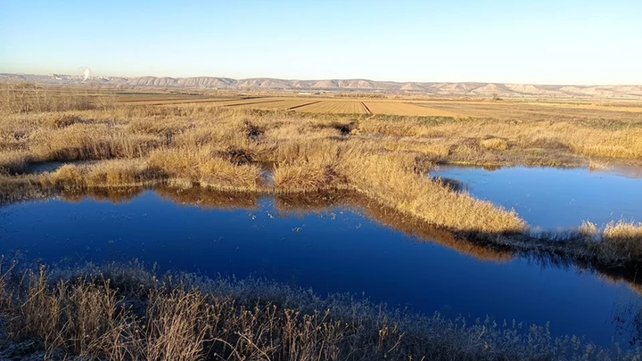 El humedal Soto Gutiérrez, en Ciempozuelos, antes de ser desecado / AYTO CIEMPOZUELOS