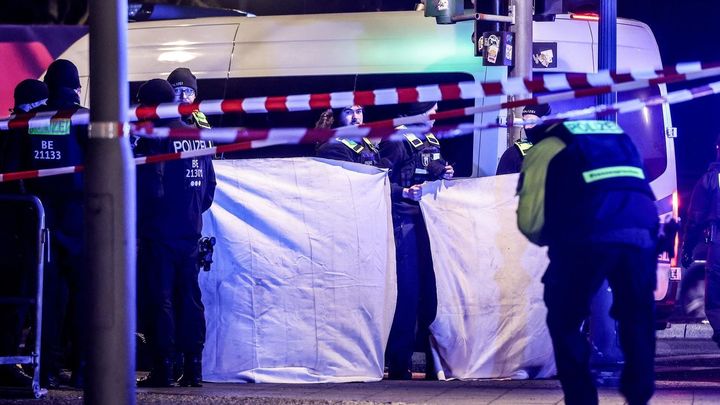 La Policía trabaja en la escena del crimen, junto al monumento a las víctimas del Holocausto, en la capital de Alemania / EFE/EPA/CHRISTOPHER NEUNDORF