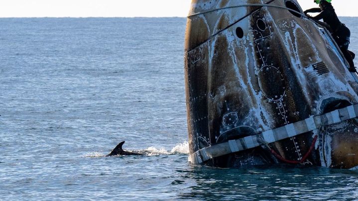 Los delfines acompañaron el rescate de los astronautas / NASA