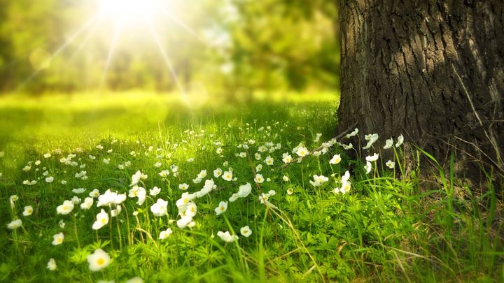Nos dará un aumento diario de casi tres minutos de luz / DOMINIO PÚBLICO