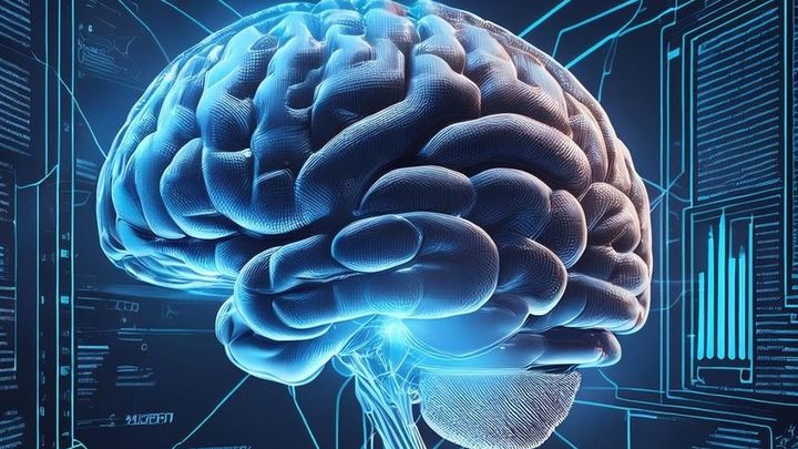 El CBM-CSIC-UAM invita a los visitantes a aprender sobre la relación con el tamaño del cuerpo / EUROPA PRESS