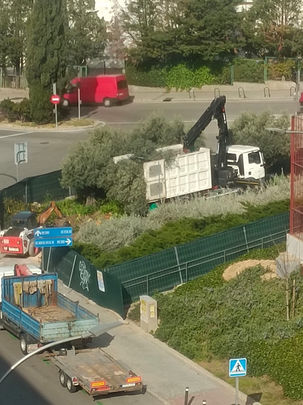 Retirada de los árboles en la parcela para el nuevo canton de limpieza de Ciudad Lineal / FRAVM