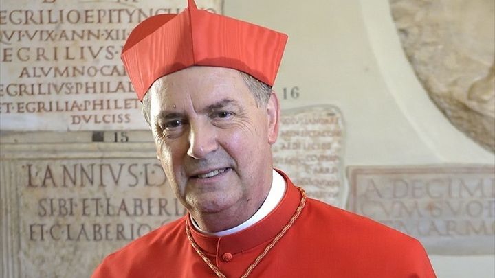 El  cardenal y rector Mayor de los Salesianos, Ángel Fernández Artime, / Europa Press