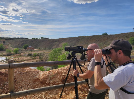 Observacion de Aves en 'La Chanta', en Corpa / ARACOVE / COMUNIDAD DE MADRID