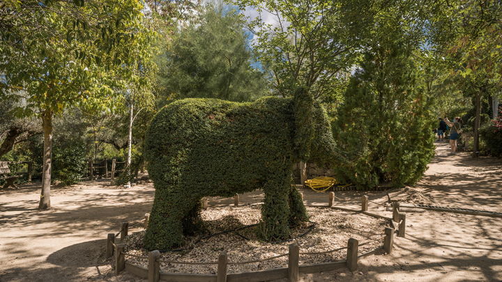 'Bosque encantado' de San Martin de Valdeiglesias / COMUNIDAD DE MADRID