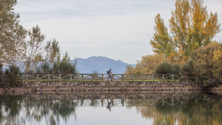 Laguna del Salmoral en Prádena del Rincón / Comunidad de Madrid