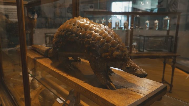 Museo Ciencias Naturales / Redacción