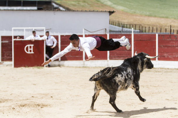 Demostración de recortes / GANADERIA ROSARIO RODRÍGUEZ / COMUNIDAD DE MADRID