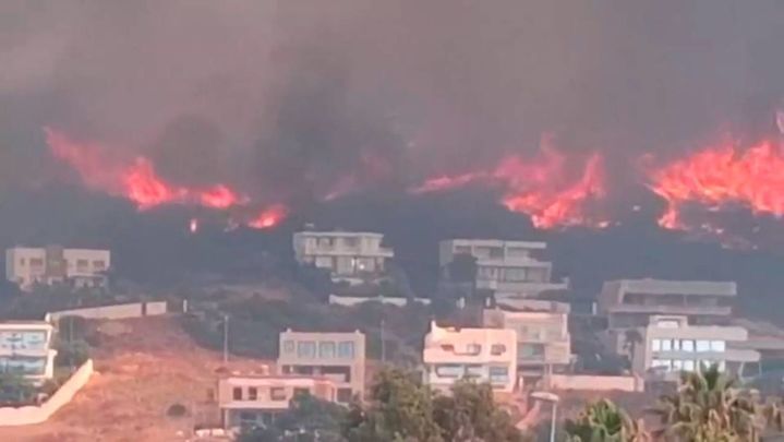 Incendio en Tarifa, Cádiz / TELEMADRID