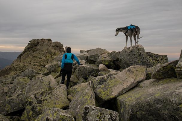 Una senderista con su perro en la Cresta de los Claveles, Sierra de Guadarrama / EUROPA PRESS