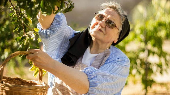 Monja carmelita recogiendo fruta del huerto para preparar mermelada / COMUNIDAD DE MADRID