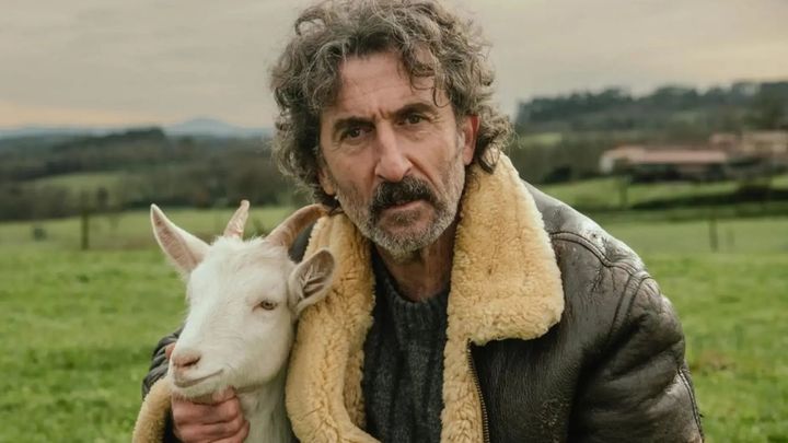 ANIMAL / Enseriados