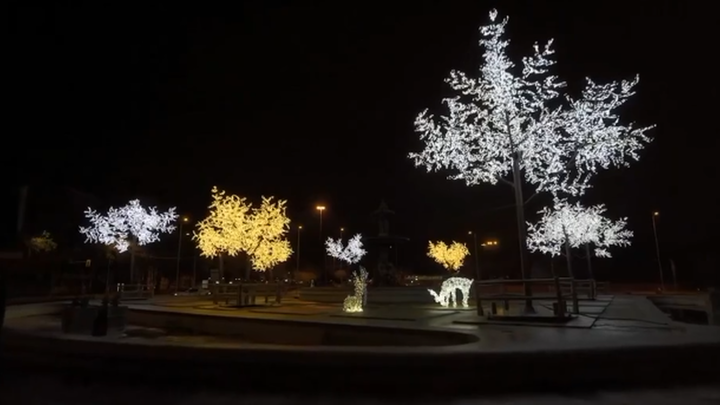 Cerezos luminosos / TELEMADRID