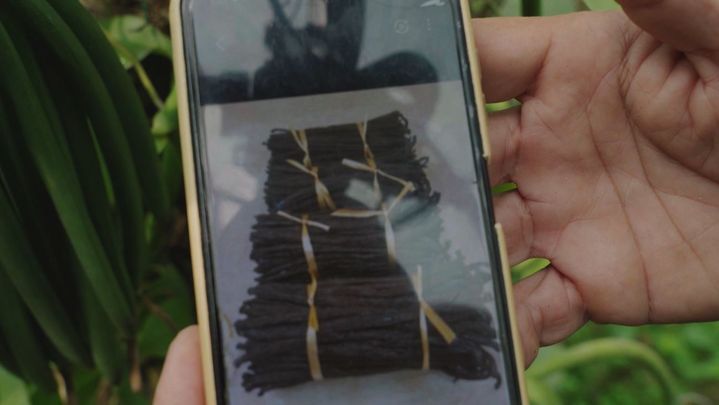 MXM Vainilla / REDACCIÓN