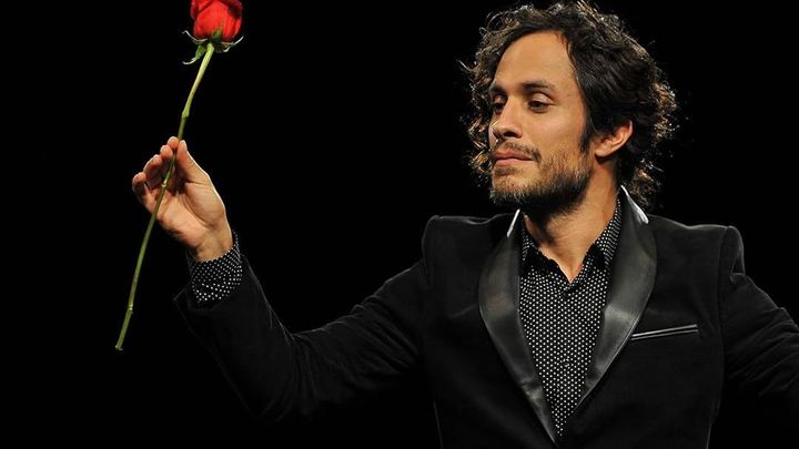 Mozart in the jungle / Enseriados