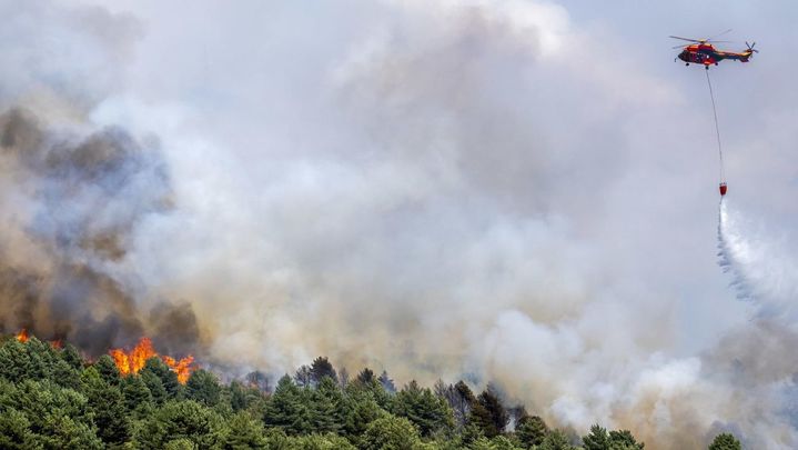 Hay ya un perímetro calcinado de más de 120 km / EFE