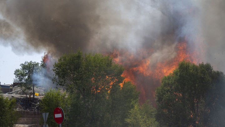 Incendio forestal, en la carretera M 206 entre Torrejón de Ardoz y Loeches, / EUROPA PRESS