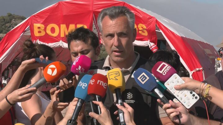 El consejero de Medio Ambiente, Carlos Novillo / TELEMADRID