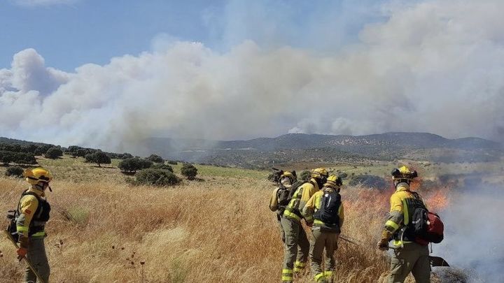Equipos de extinción de incendios en Villa del Prado / TELEMADRID
