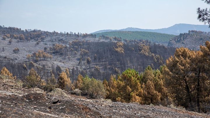 Terreno quemado por el incendio forestal en La Mierla / EUROPA PRESS